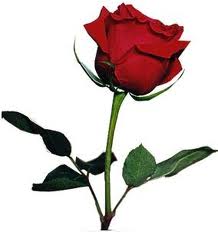 ΠΕΣΟΝΤΕΣ ΜΝΗΜΟΝΙΩΝ, ΠΟΣΟΙ ΑΚΟΜΑ;